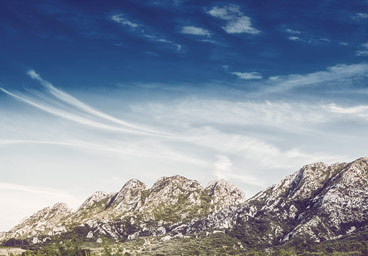 智能排序高效的在线电话轰炸工具