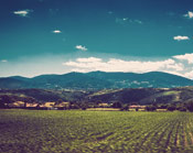 手机号在线压测平台